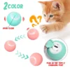 Rolling Ball Cat Toy