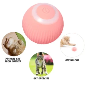 Rolling Ball Cat Toy