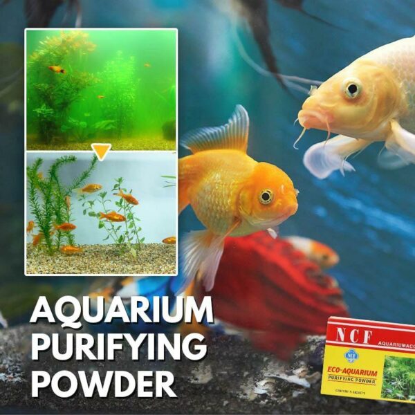 Polvo purificador de acuario