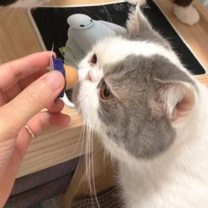 Cat Treats – Kitty Chups