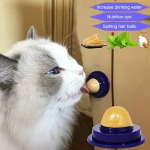 Cat Treats – Kitty Chups