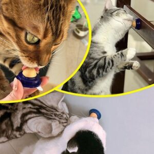 Cat Treats – Kitty Chups