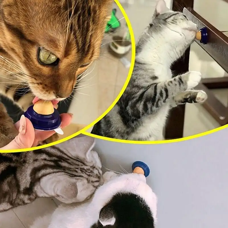 Cat Treats – Kitty Chups