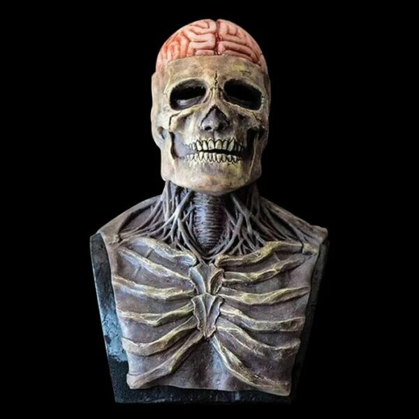 Creepy Biological Man Skeleton