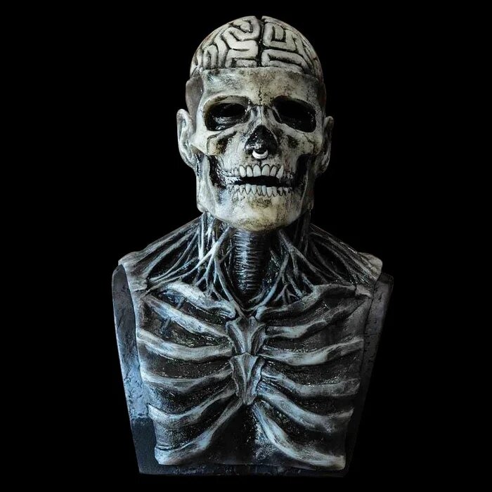 Creepy Biological Man Skeleton