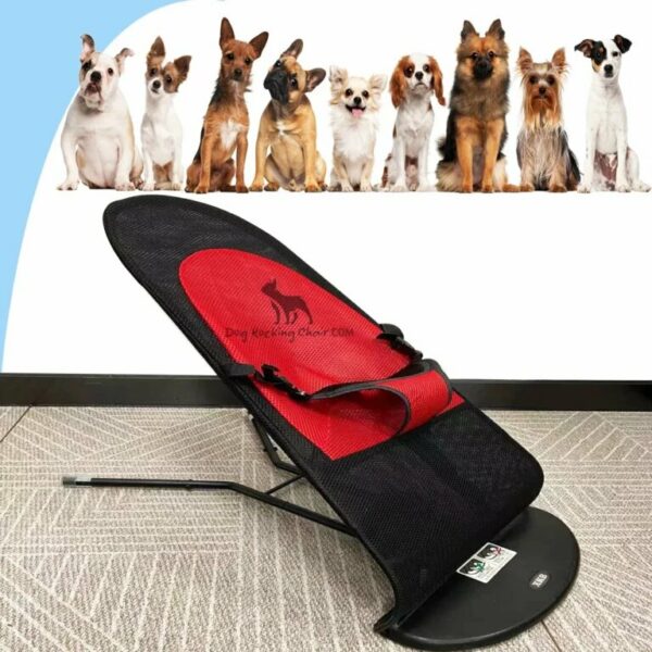 Dog Rocking Chair - Bed Bulldog Franċiż - Aċċessorji Frenchie
