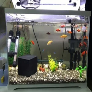 Eco-Aquarium Water Purifier Cube