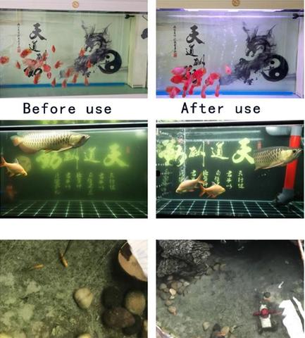 Eco-Aquarium Water Purifier Cube