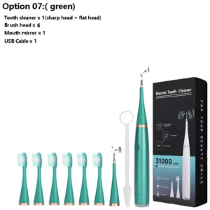 Electric Dental Calculus Remover