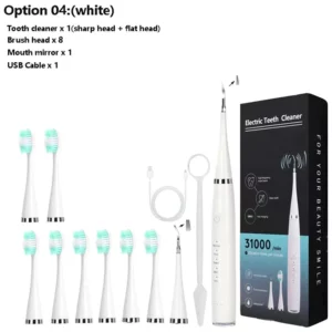 Electric Dental Calculus Remover