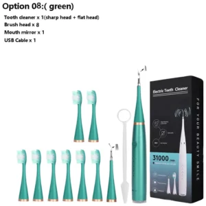 Electric Dental Calculus Remover
