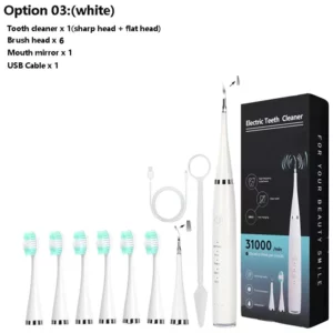 Electric Dental Calculus Remover