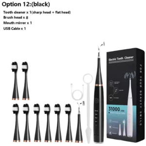 Electric Dental Calculus Remover