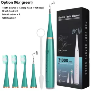 Electric Dental Calculus Remover