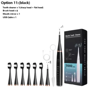 Electric Dental Calculus Remover