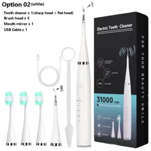 Electric Dental Calculus Remover