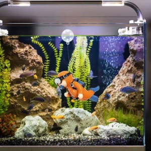 Lovely Diver Fish Tank