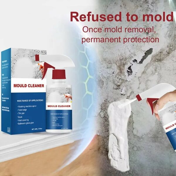 Mildew Cleaner Foam ၊