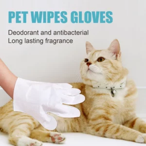 Natural Plant Substance - Pet Teeth Repairing Kit
