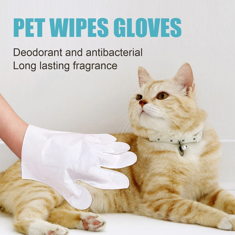 Natural Plant Substance - Pet Teeth Repairing Kit