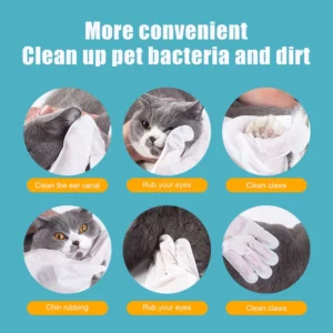 Natural Plant Substance - Pet Teeth Repairing Kit