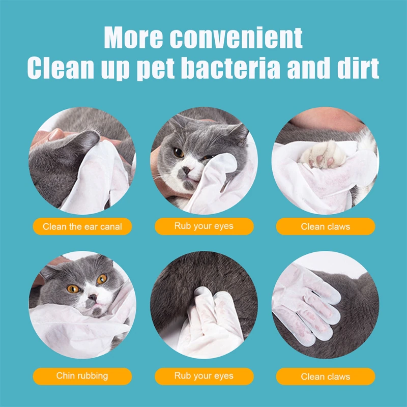 Natural Plant Substance - Pet Teeth Repairing Kit