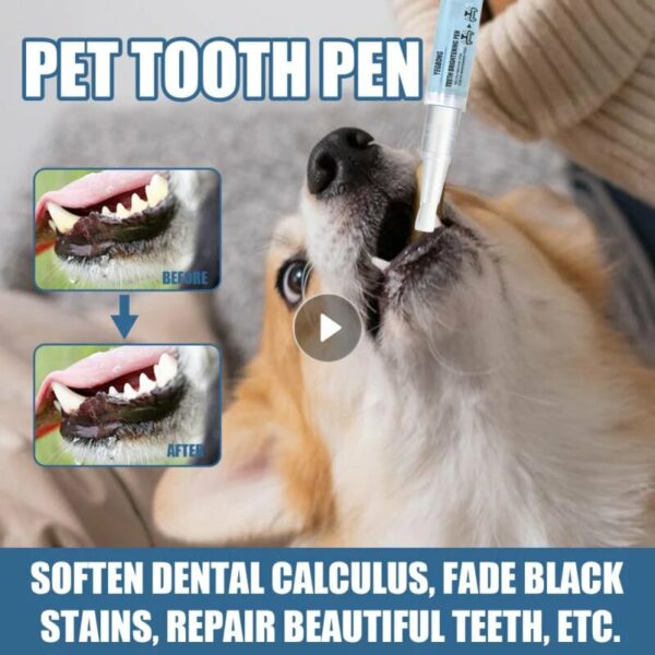 Pet Teeth Repairing Kit
