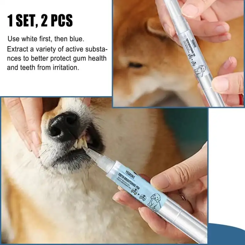 Pet Teeth Repairing Kit