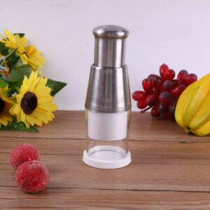 Pressed Garlic Chopper
