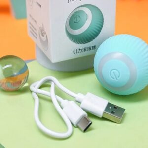 Smart Ball™