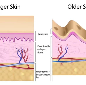 Snake Venom Peptide Anti-Wrinkle Eye Cream
