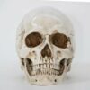 Terrifying Human Skull Fire Pit