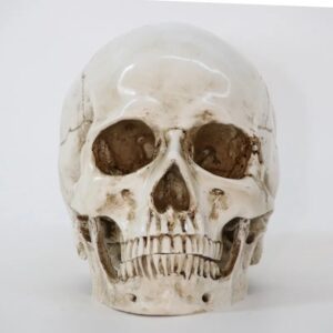 Terrifying Human Skull Fire Pit