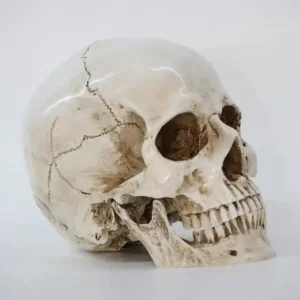 Terrifying Human Skull Fire Pit