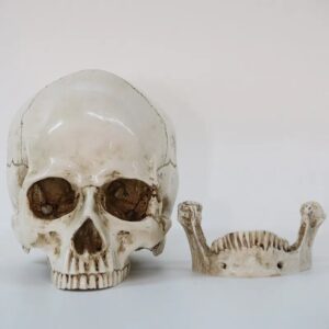 Terrifying Human Skull Fire Pit
