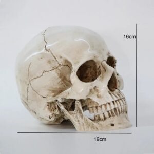 Terrifying Human Skull Fire Pit