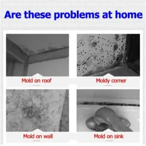 2 Bottles Wall Mold Remover Home Cleaning Tools
