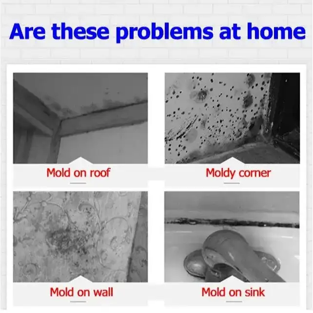 2 Bottles Wall Mold Remover Home Cleaning Tools