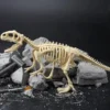 2022 New Arrival Dinosaur Fossil Digging Kit