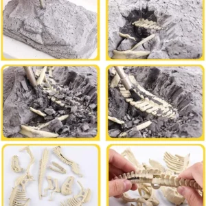 2022 New Arrival Dinosaur Fossil Digging Kit
