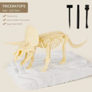 2022 New Arrival Dinosaur Fossil Digging Kit
