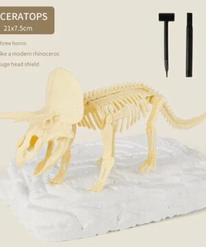 2022 New Arrival Dinosaur Fossil Digging Kit
