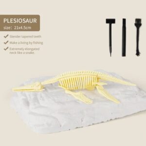 2022 New Arrival Dinosaur Fossil Digging Kit