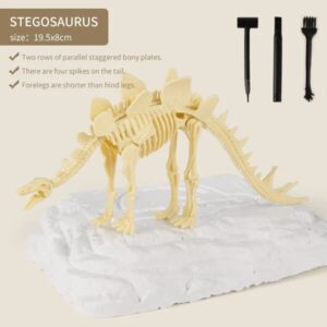 2022 New Arrival Dinosaur Fossil Digging Kit