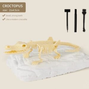 2022 New Arrival Dinosaur Fossil Digging Kit