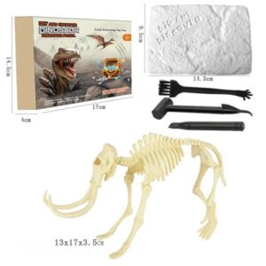 2022 New Arrival Dinosaur Fossil Digging Kit