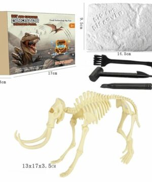 2022 New Arrival Dinosaur Fossil Digging Kit