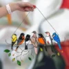 Birds Stained Window Panel Hangings