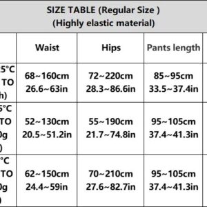 Flawless Legs Fake Translucent Warm Plush Lined Elastic Tights