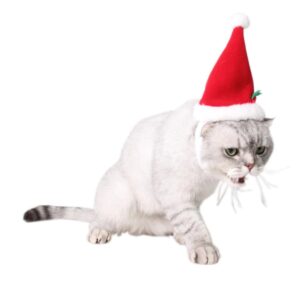 Funny Electric Musical Christmas Hat